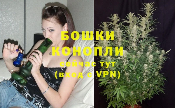 jwh Вяземский
