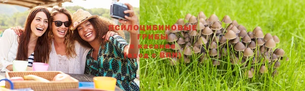 jwh Вяземский