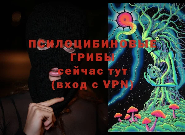 твердый Вязьма